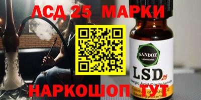 гидропоника Новозыбков