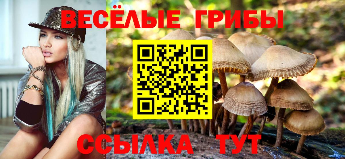 Галлюциногенные грибы Cubensis  Вход с VPN  Ханты-Мансийск 