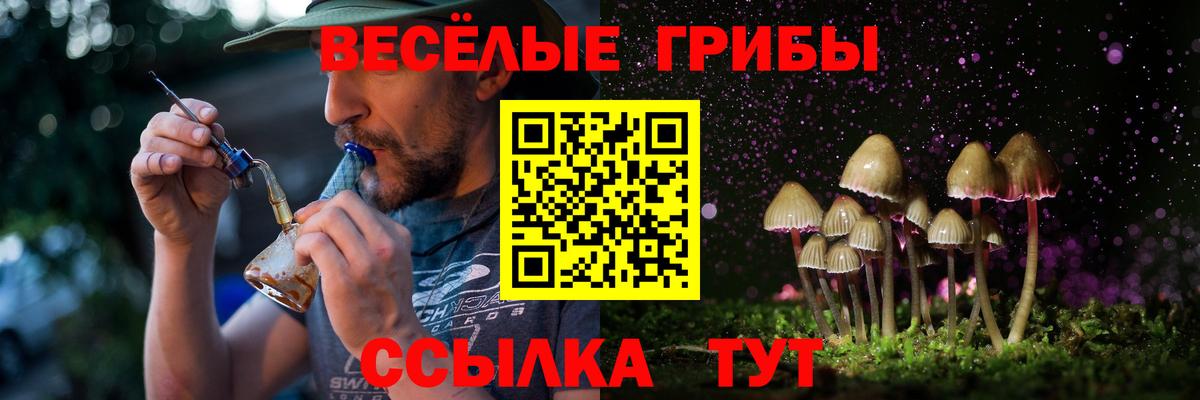 Галлюциногенные грибы прущие грибы Ханты-Мансийск